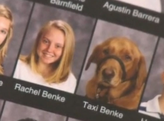 Yearbook Dog Yearbook Dog